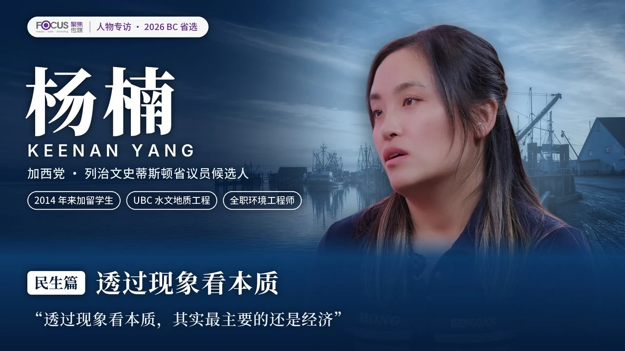 透过现象看本质原片封面