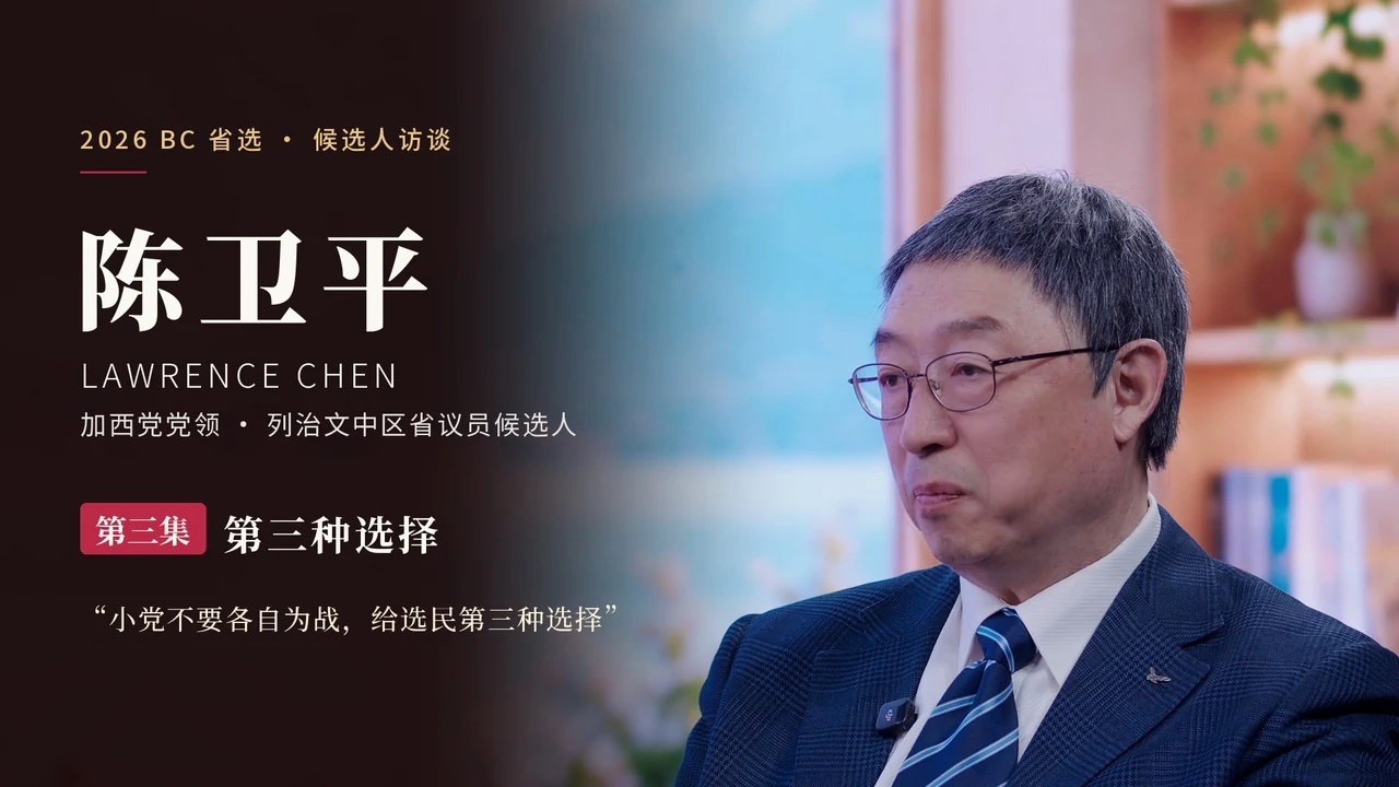 第三种选择原片封面