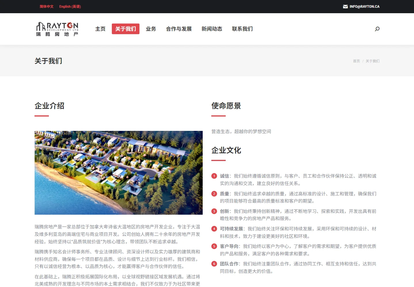 Explain the company’s background: actual live website interface