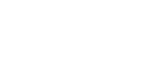 VION Financial logo