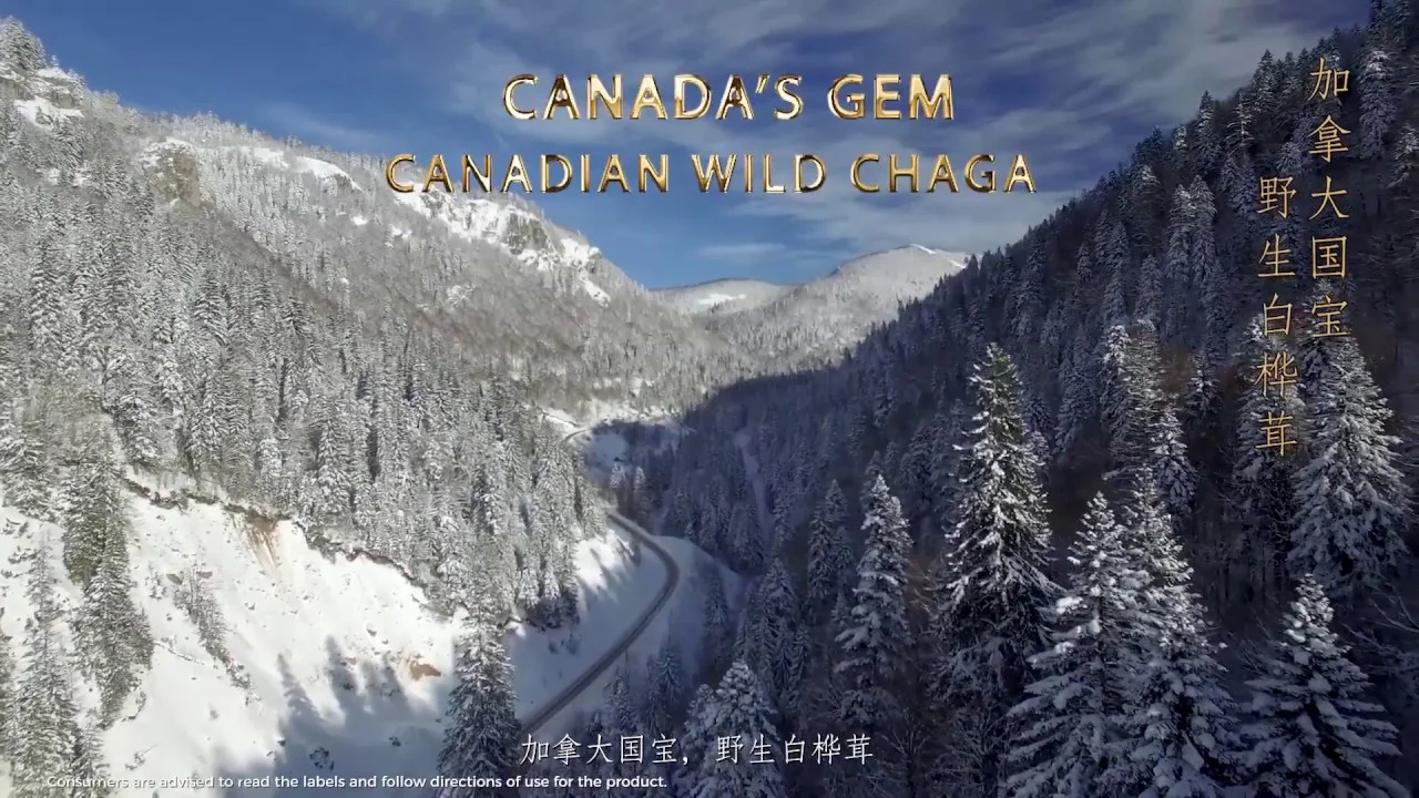 Canada’s Real Organic House 历史短片片头，雪林画面配中英文标题