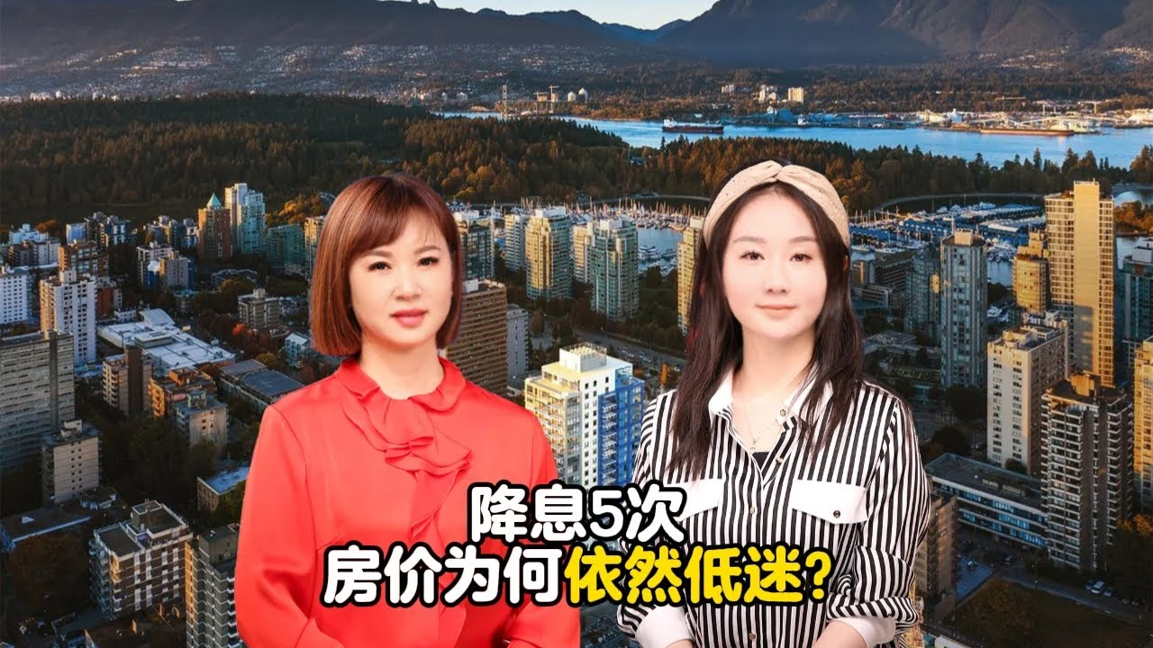 Karen Zhao 地产专业人士访谈节目画面
