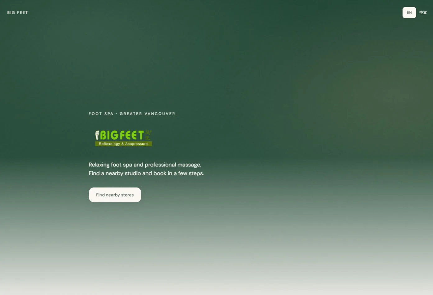 Big Feet custom online booking system desktop entry screen