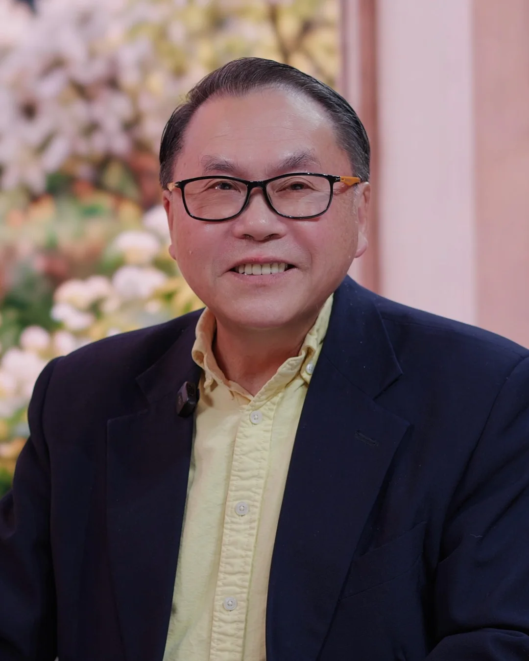 石精华 Shi Jinghua